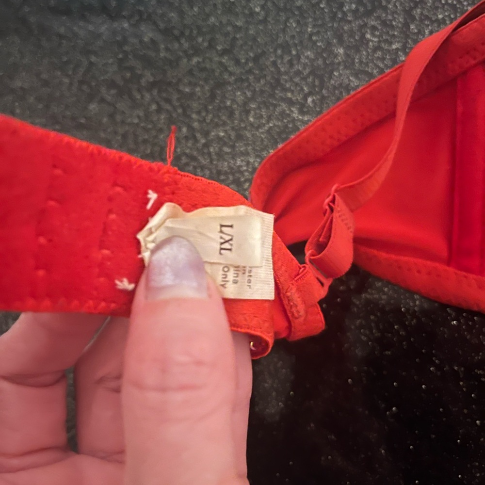 Red Sequin Embellished Bra - Picture 7 of 9